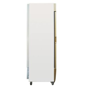 Tủ Đông Đứng Alaska 385 Lít IF-350G chính hãng, giá rẻ - hình ảnh sản phẩm