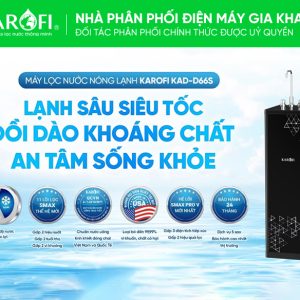 Máy lọc nước nóng lạnh Karofi KAD-D66S chính hãng - góc nhìn 4