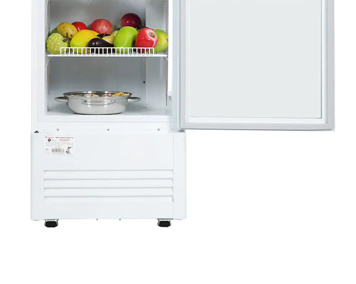Tủ Mát Sanaky Inverter 480 Lít VH-5089K3 chính hãng, giá rẻ Tủ Mát Sanaky Inverter 480 Lít VH-5089K3 chính hãng, giá rẻ - góc nhìn 4