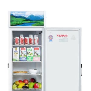 Tủ Mát Sanaky Inverter 480 Lít VH-5089K3 chính hãng, giá rẻ - góc nhìn 3