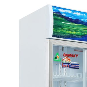Tủ mát Sanaky 500 lít VH-6009HP giá tốt, giao nhanh - góc nhìn 4