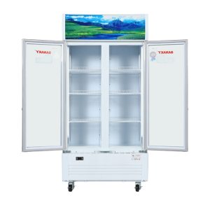Tủ mát Sanaky 500 lít VH-6009HP giá tốt, giao nhanh - góc nhìn 3