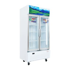 Tủ mát Sanaky 500 lít VH-6009HP giá tốt, giao nhanh - góc nhìn 2