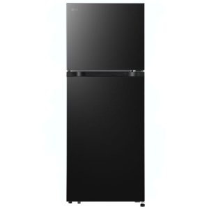 Tủ lạnh LG Inverter 217 lít T21BG model mới năm 2025