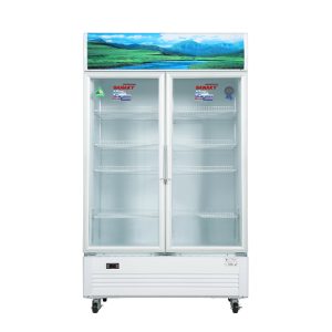 Tủ mát Sanaky 900 lít VH-1009HP giá tốt, giao nhanh