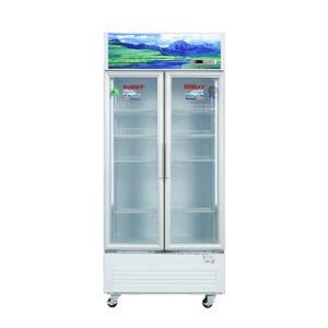 Tủ mát Sanaky Inverter 700 lít VH-8009HP3 chính hãng